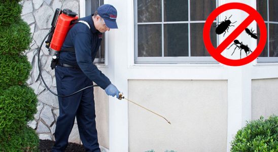 Araban Hamam Böceği İlaçlama böcek ilaçlama ve haşere kontrolü — ilaclama-tr.com